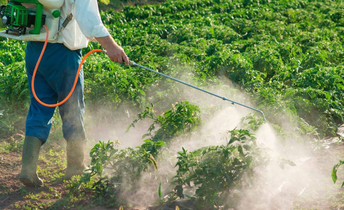 Fijan plazo de 90 días para regular el uso de agroquímicos en zonas urbanas