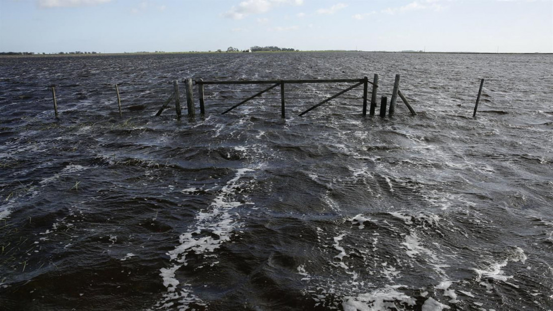 Suben a 10 millones las hectáreas afectadas por las inundaciones