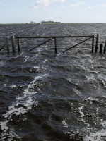 Suben a 10 millones las hectáreas afectadas por las inundaciones