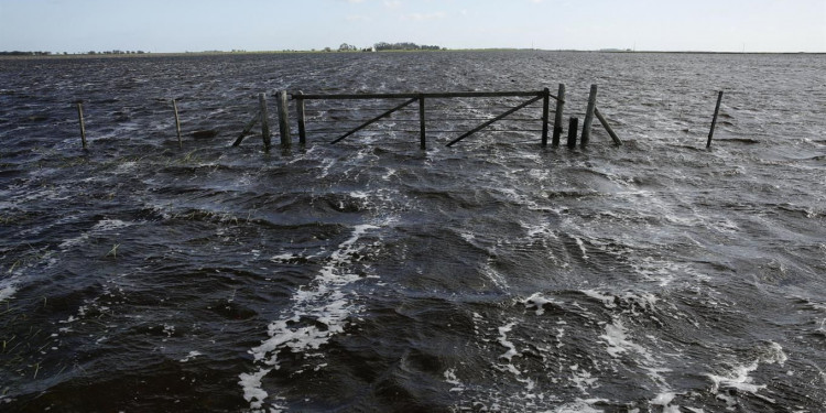 Suben a 10 millones las hectáreas afectadas por las inundaciones