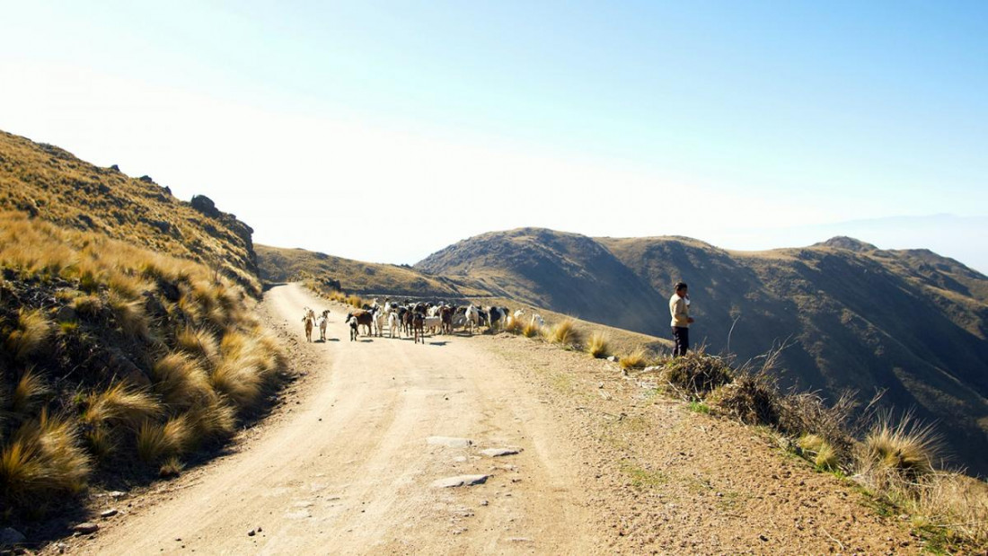 "Sin agua no hay membrillo", el documental que denuncia la megaminería en Catamarca