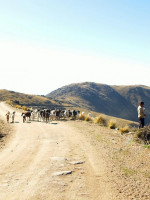 "Sin agua no hay membrillo", el documental que denuncia la megaminería en Catamarca