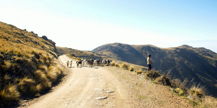 "Sin agua no hay membrillo", el documental que denuncia la megaminería en Catamarca