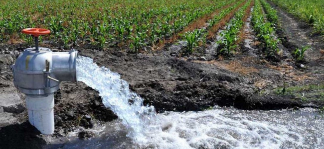 ¿Puede el agua subterránea ser una solución para la crisis hídrica de Mendoza?