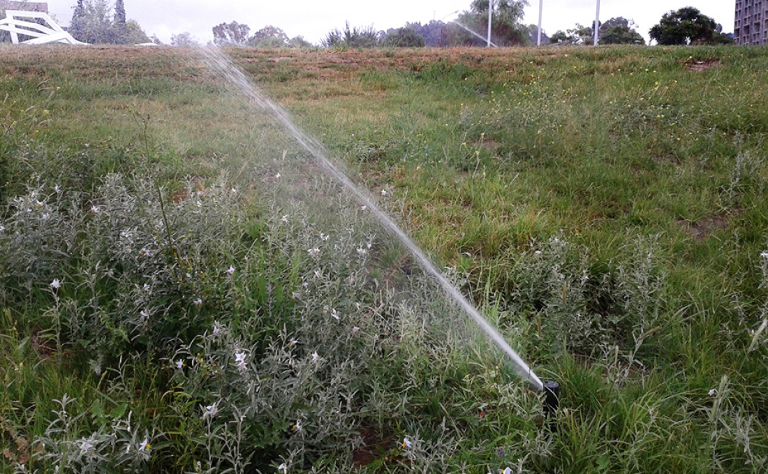 Recurso escaso: el agua bajo la mirada experta