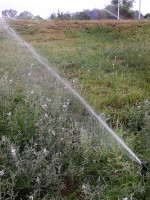 Recurso escaso: el agua bajo la mirada experta