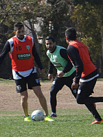 Dos Lobos de marca y ataque