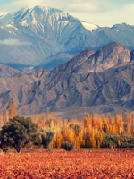 Siguen el sol y las temperaturas agradables en Mendoza 