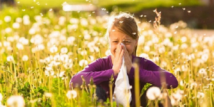 Alergias post zonda y pre primavera: lo que hay que saber