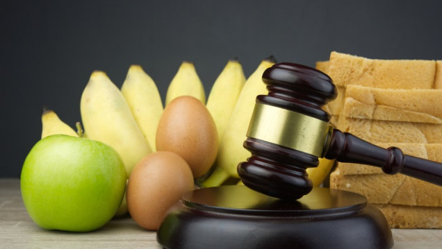 imagen La cuota alimentaria, un derecho difícil de ejercer sin Justicia con perspectiva de género