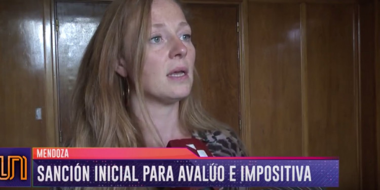 Allasino dijo que las leyes de Avalúo e Impositiva no impactarán al bolsillo