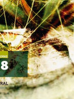 La Nave Cultural se musicaliza de Amarillo