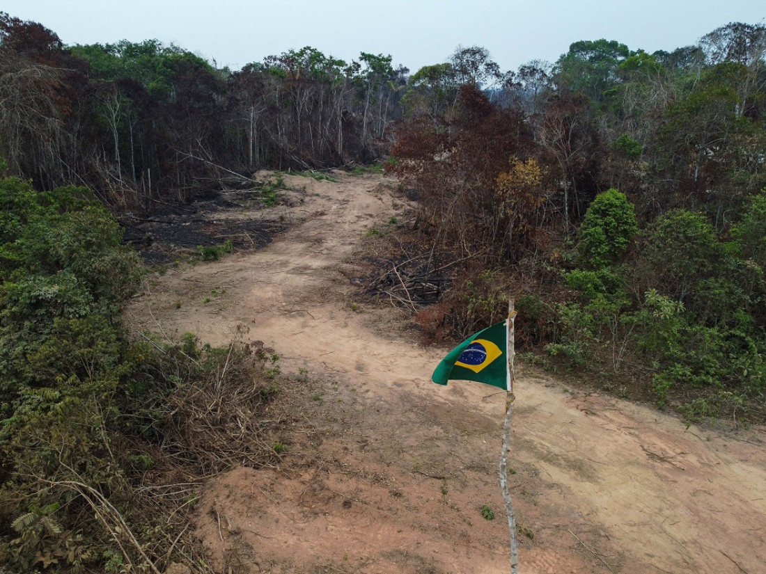 El futuro de la Amazonia se juega en las elecciones de Brasil