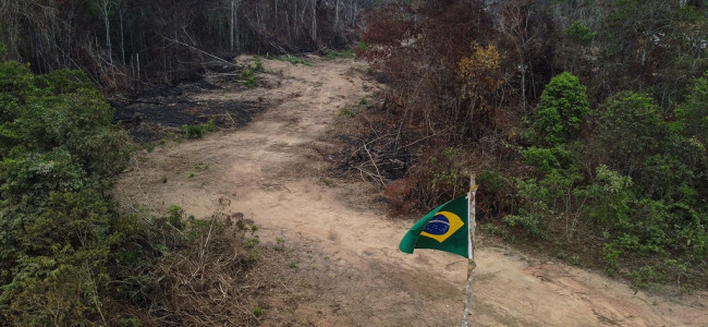 El futuro de la Amazonia se juega en las elecciones de Brasil