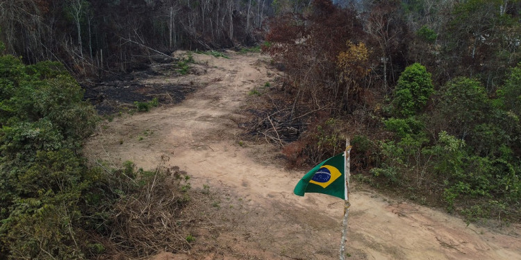 El futuro de la Amazonia se juega en las elecciones de Brasil