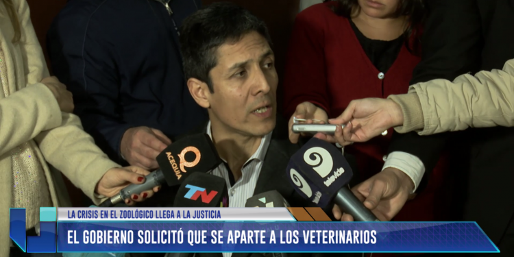 Zoo de Mendoza: El gobierno solicitó que se aparte a los veterinarios