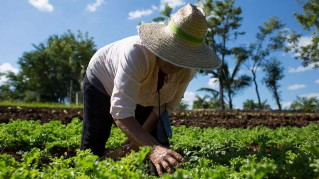 Disponer de un medio ambiente sano fue declarado como un "derecho humano universal" por la ONU