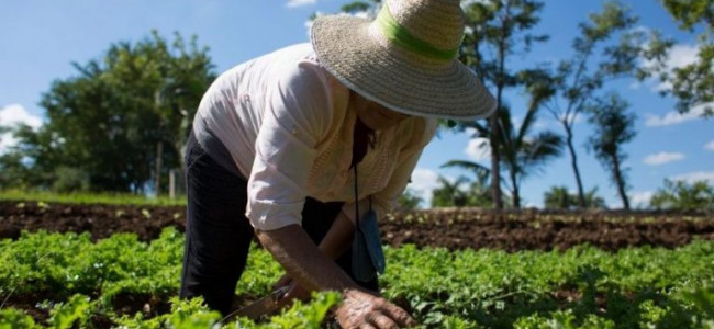 Disponer de un medio ambiente sano fue declarado como un "derecho humano universal" por la ONU