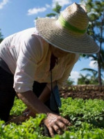 Pachamama, un repaso por su concepto filosófico y ancentral