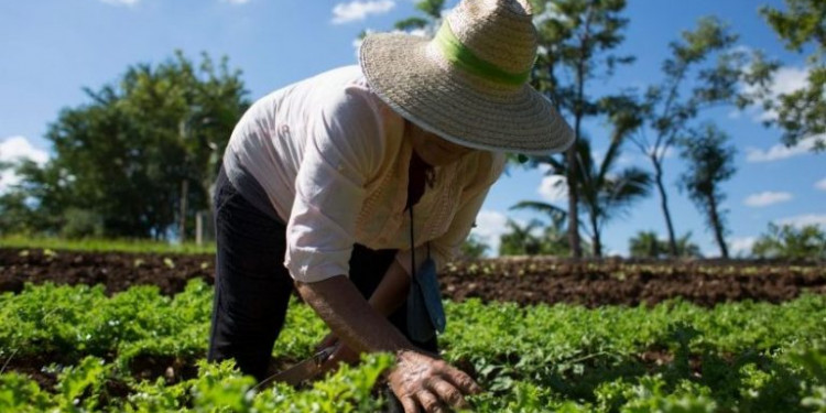 Pachamama, un repaso por su concepto filosófico y ancentral