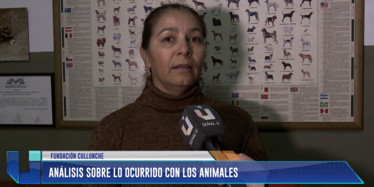 Análisis sobre lo ocurrido con los animales en el Zoo de Mendoza