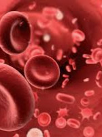 La anemia, síntoma de que algo nos está pasando