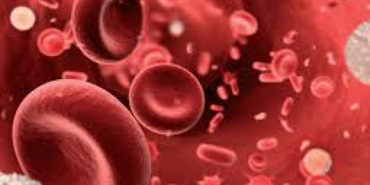 La anemia, síntoma de que algo nos está pasando