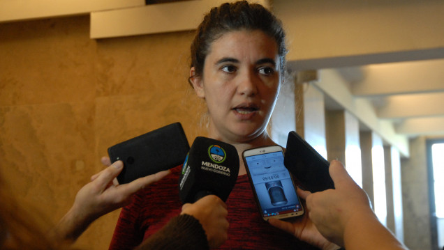 imagen Anfuso desestimó su renuncia