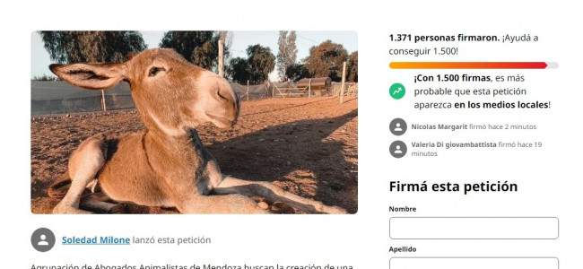 Adopción, cuidado y protección de animales, a puro pulmón