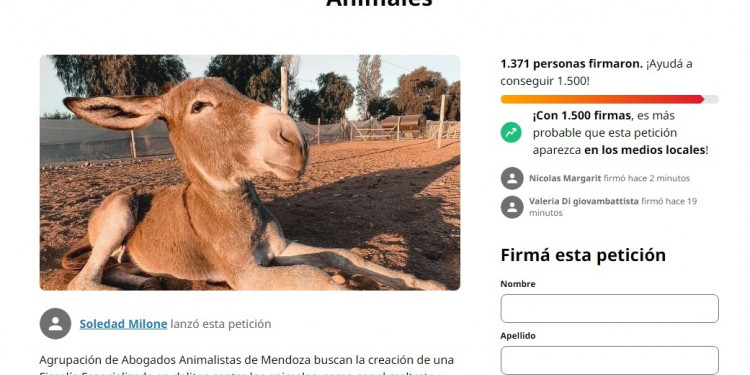 Adopción, cuidado y protección de animales, a puro pulmón