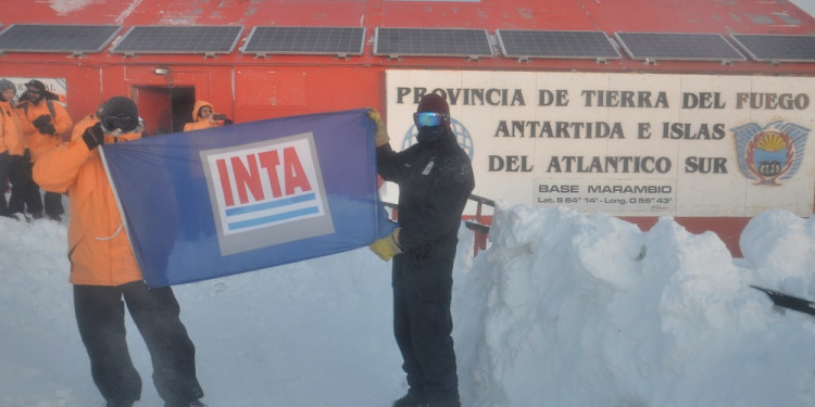 Argentina ya cultiva verduras en la Base Marambio con técnica hidropónica