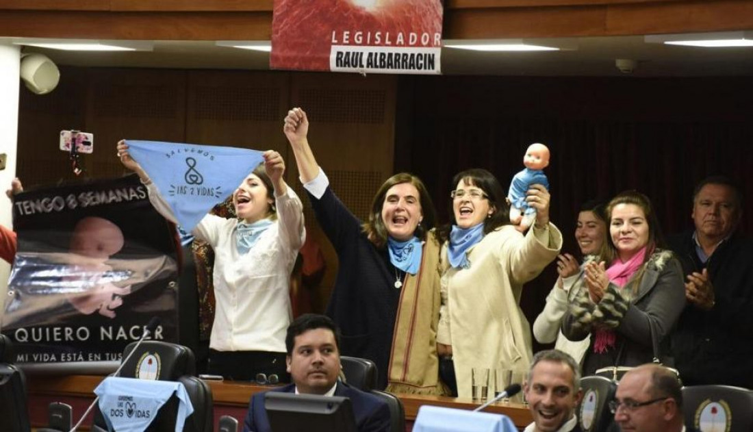 En Tucumán, legisladores buscan prohibir el aborto no punible