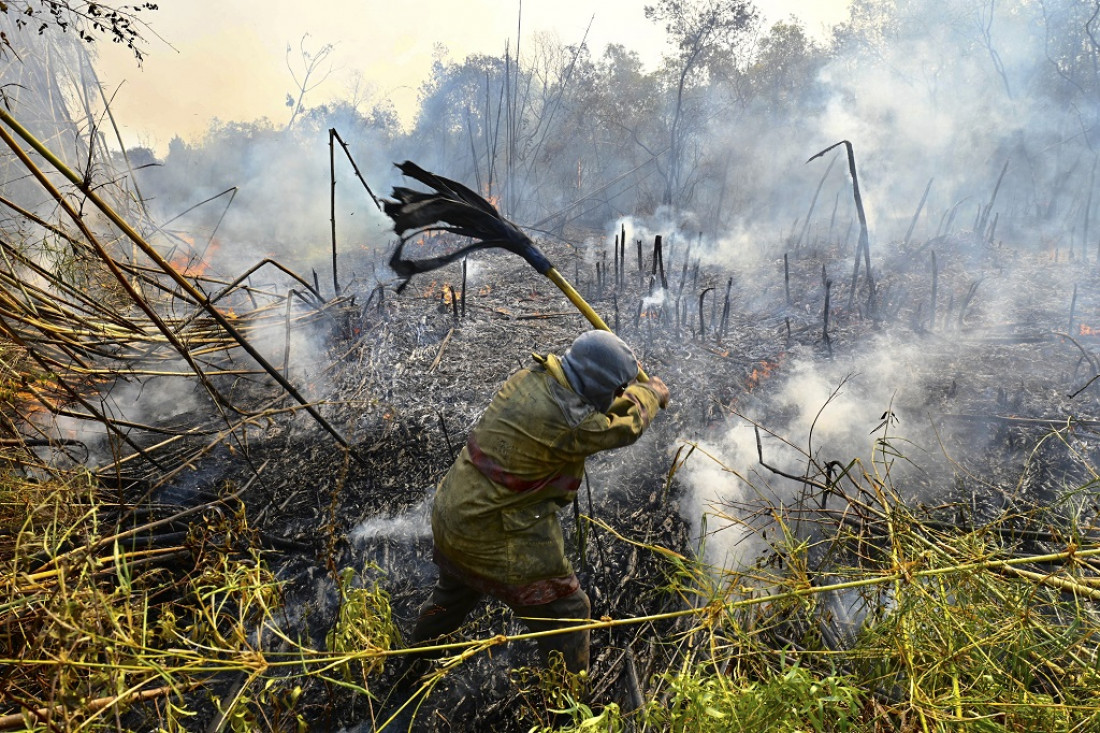  Incendios, sequías prolongadas y la bajante histórica del Paraná: los principales problemas ambientales en 2022