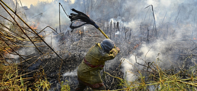  Incendios, sequías prolongadas y la bajante histórica del Paraná: los principales problemas ambientales en 2022