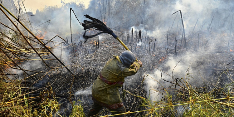  Incendios, sequías prolongadas y la bajante histórica del Paraná: los principales problemas ambientales en 2022