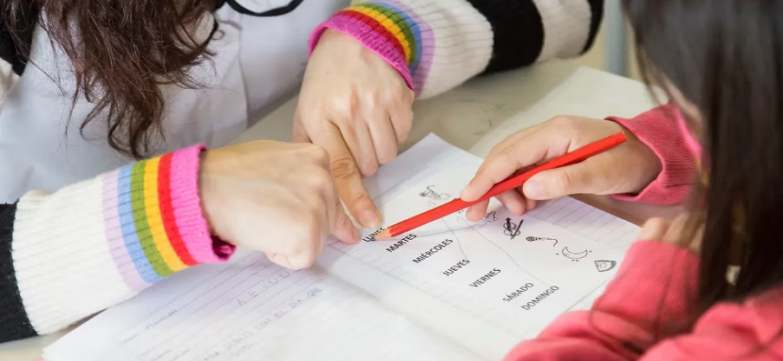 Leer y no comprender, "una tragedia que estuvo oculta en el sistema educativo argentino"