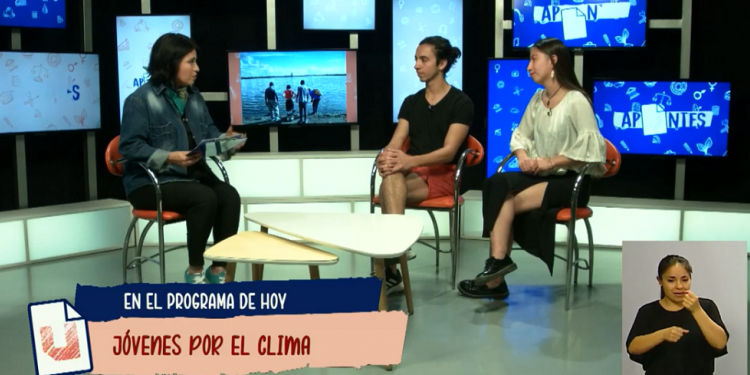 "Viernes por el Futuro": cómo funciona en Mendoza la organización ambientalista que inició Greta Thunberg