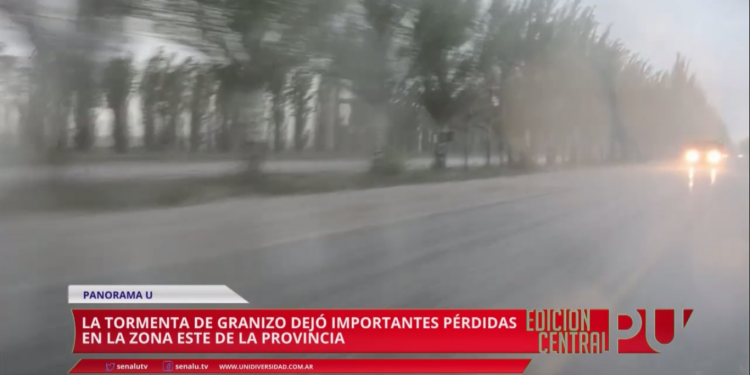 Granizó en Mendoza y dejó pérdidas