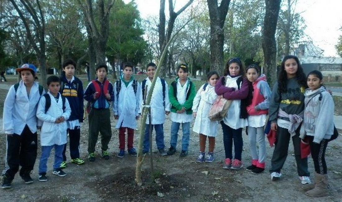 Acciones para incentivar la conciencia ambiental en estudiantes