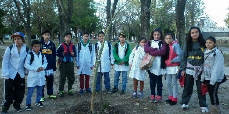 Acciones para incentivar la conciencia ambiental en estudiantes