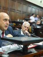 Senado: Camerucci presidirá el bloque radical