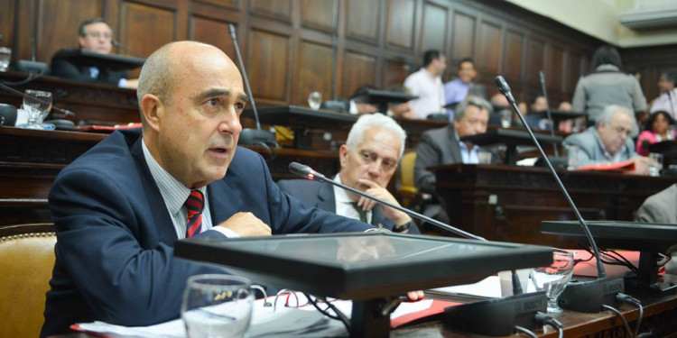 Senado: Camerucci presidirá el bloque radical