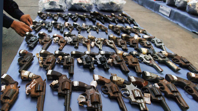 imagen Media sanción para la creación de una agencia que controle la tenencia de armas