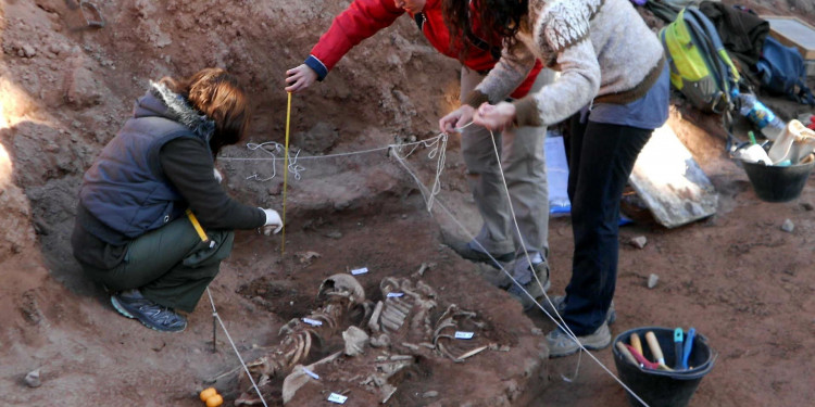 Encuentran antiquísimos restos óseos en una obra en Godoy Cruz