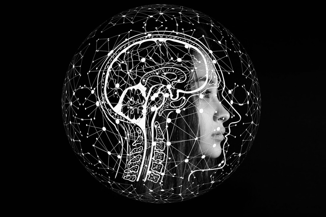 ¿El cerebro tiene género?: deconstruyendo la mirada neurosexista