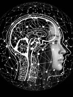 ¿El cerebro tiene género?: deconstruyendo la mirada neurosexista