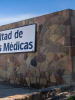 Ingreso a Medicina: "Operativamente no se puede formar a todos los aspirantes"