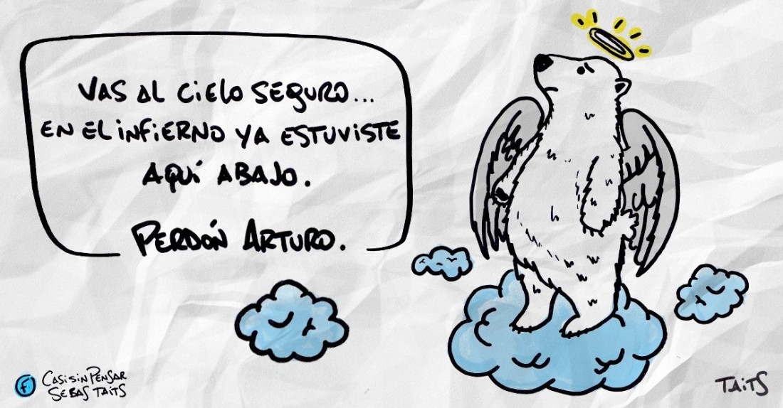 Video: "Arturo comenzó su viaje al cielo de los osos"