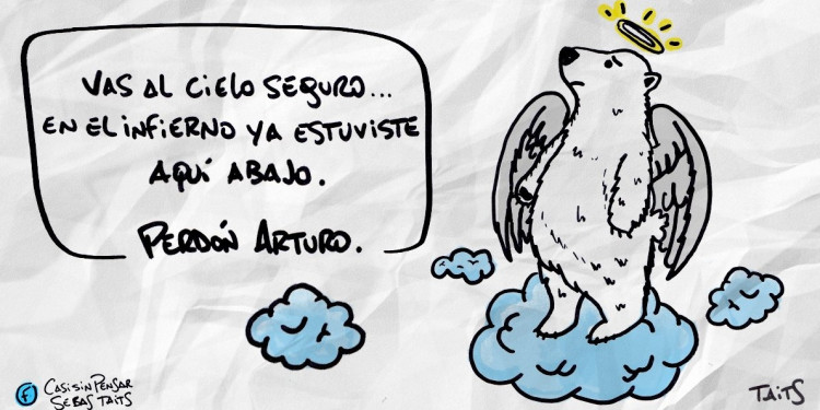 Video: "Arturo comenzó su viaje al cielo de los osos"