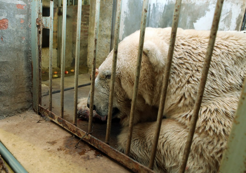 imagen Más solo que Arturo